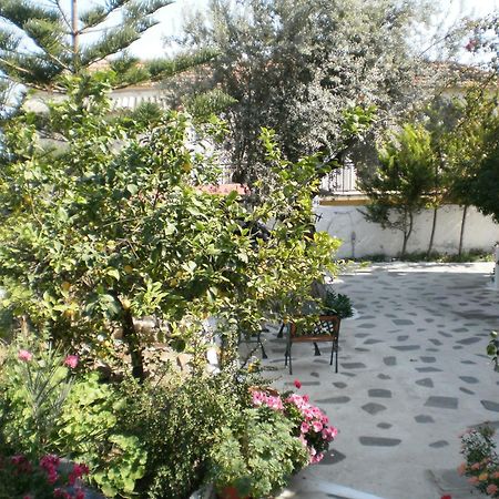 Sunrise Flora Apartment Agia Marina  Exterior photo