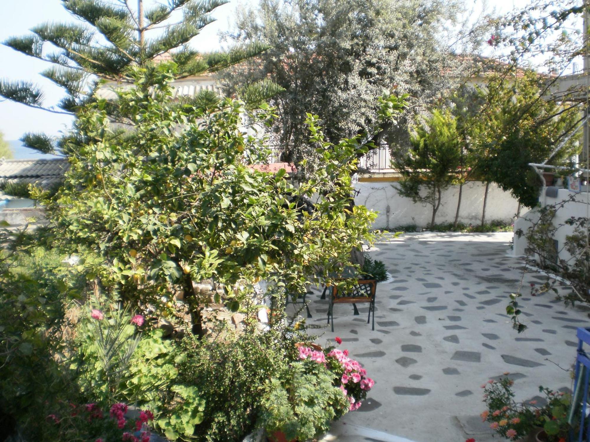 Sunrise Flora Apartment Agia Marina  Exterior photo